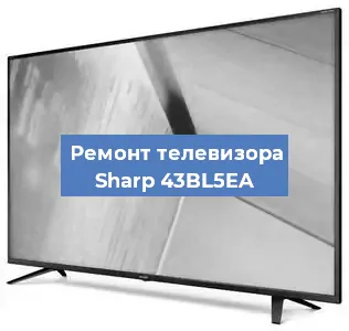 Замена инвертора на телевизоре Sharp 43BL5EA в Тюмени